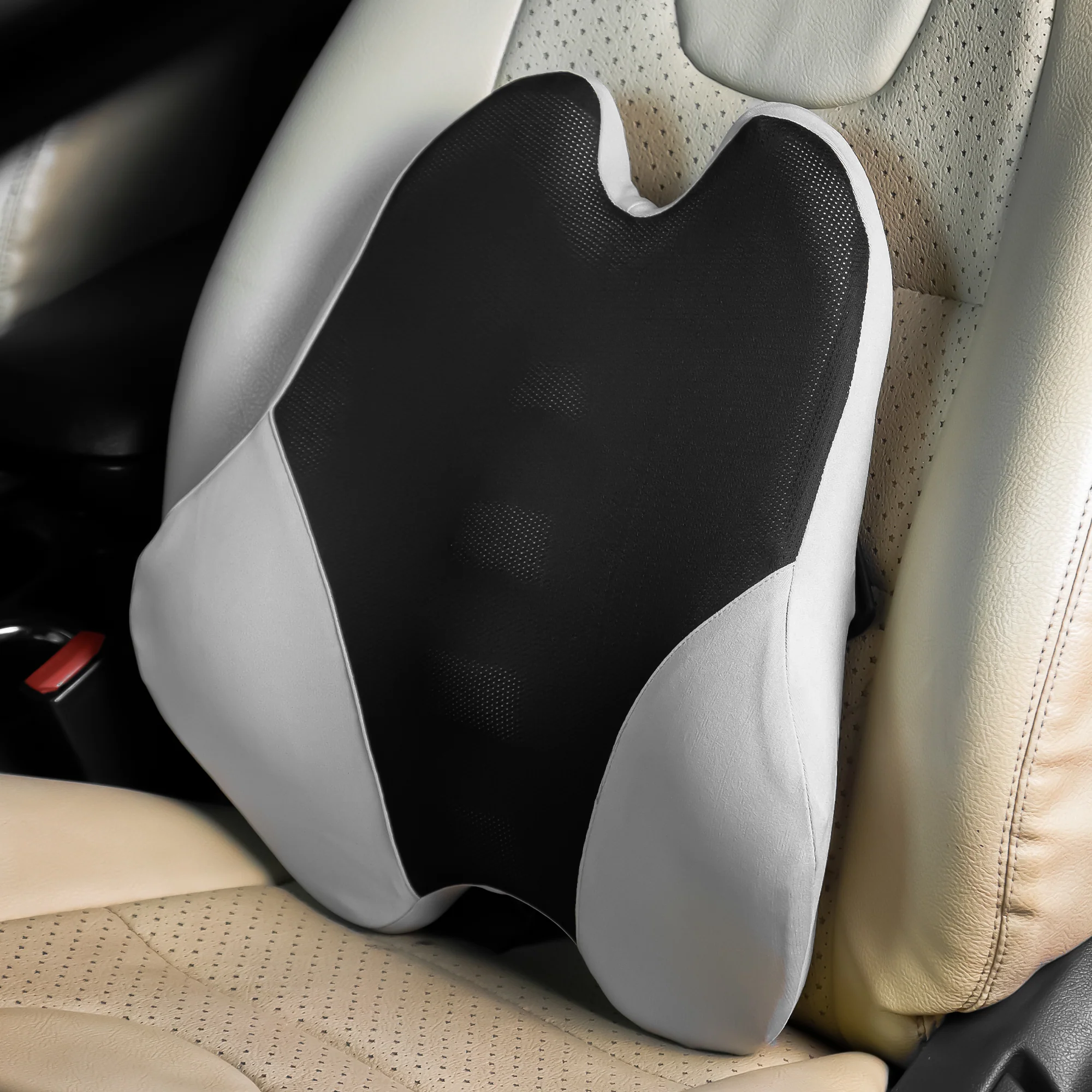 CAR101 Back Rest Elite - Image 13