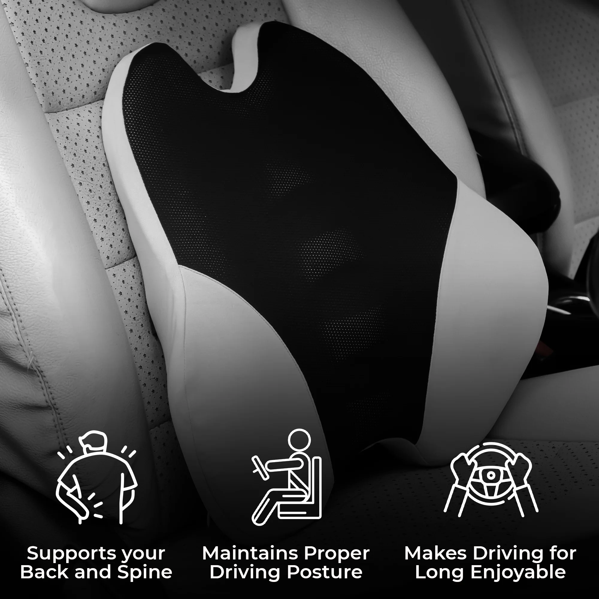 CAR101 Back Rest Elite - Image 9